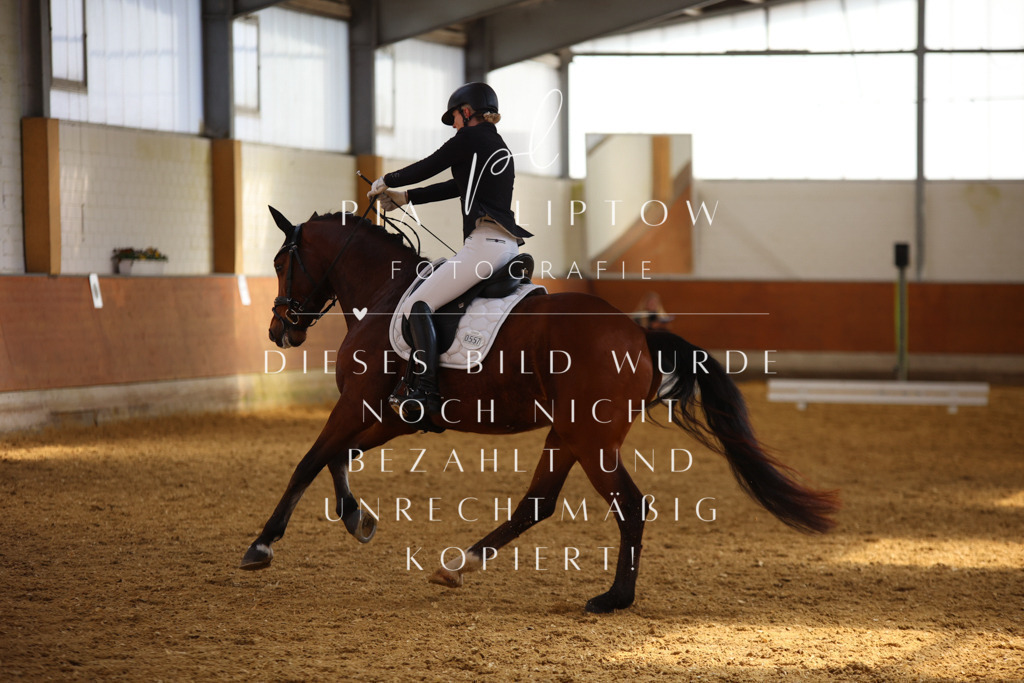 IMGT4329 | pl-fotografie