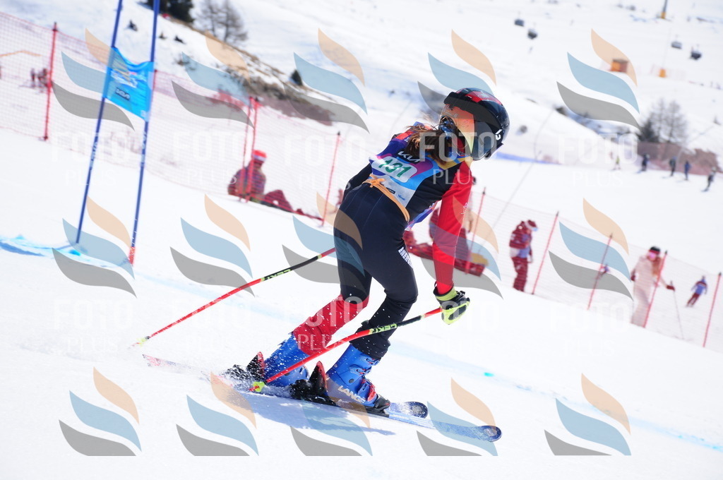 DSC_1101 | holidayphoto