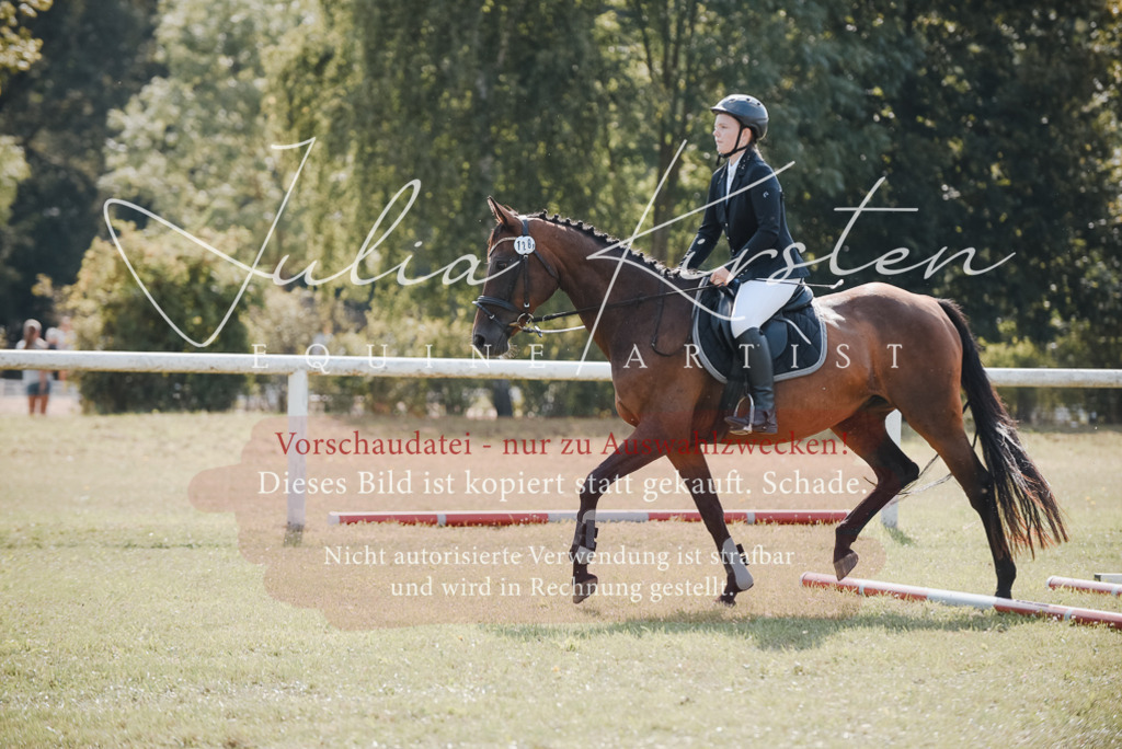 DSC_5251 | Pferde- und Turnierfotografie in Westsachsen. Pferdeportraits, Auftragszeichnungen und intuitive Kunst.
