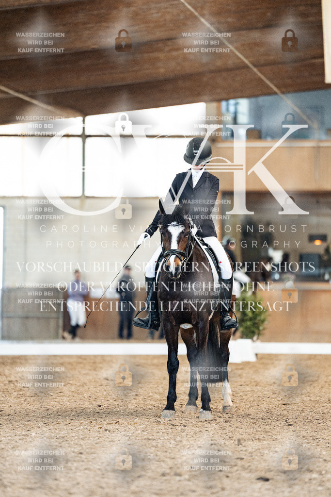 CK909722 | Turnierfotografie Pferdefotografie Trier Rheinland-Pfalz Pferdesport Reitsport Tierfotografie Sportfotografie Pferdevideo Pferdevideografie Equestrianvideography equestrianphotography  - Realisiert mit Pictrs.com