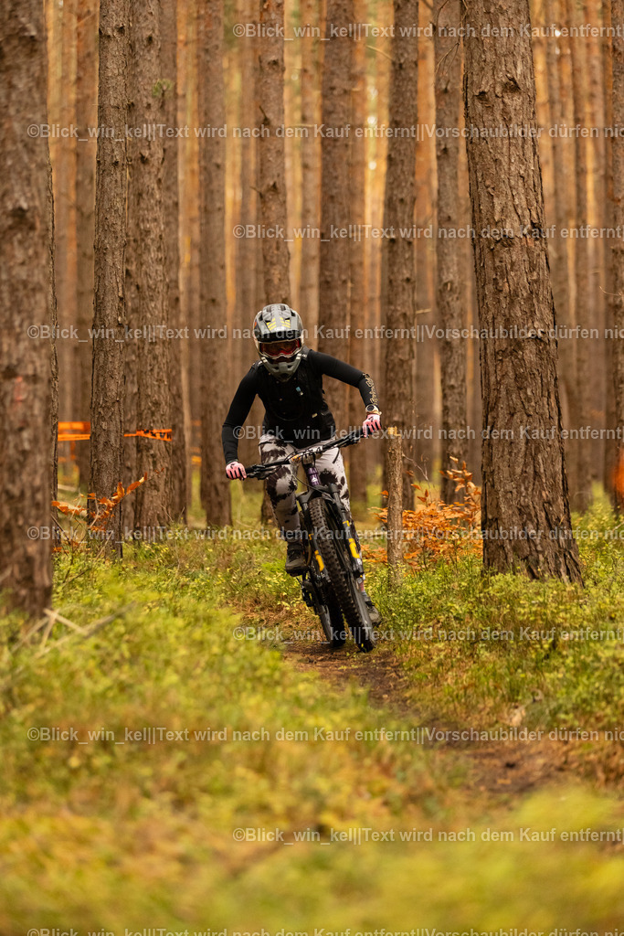 E68A3165 | blick_win_kel