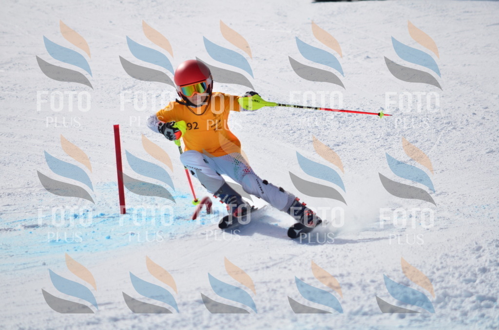 C8702 | holidayphoto