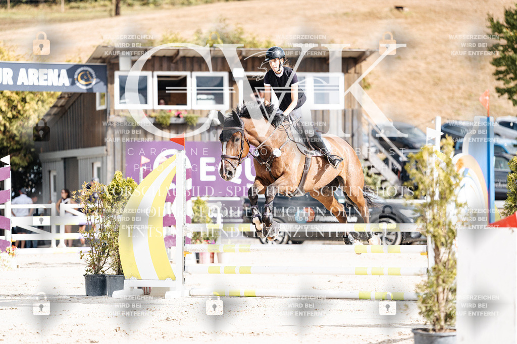 CK909049 | Turnierfotografie Pferdefotografie Trier Rheinland-Pfalz Pferdesport Reitsport Tierfotografie Sportfotografie Pferdevideo Pferdevideografie Equestrianvideography equestrianphotography  - Realisiert mit Pictrs.com