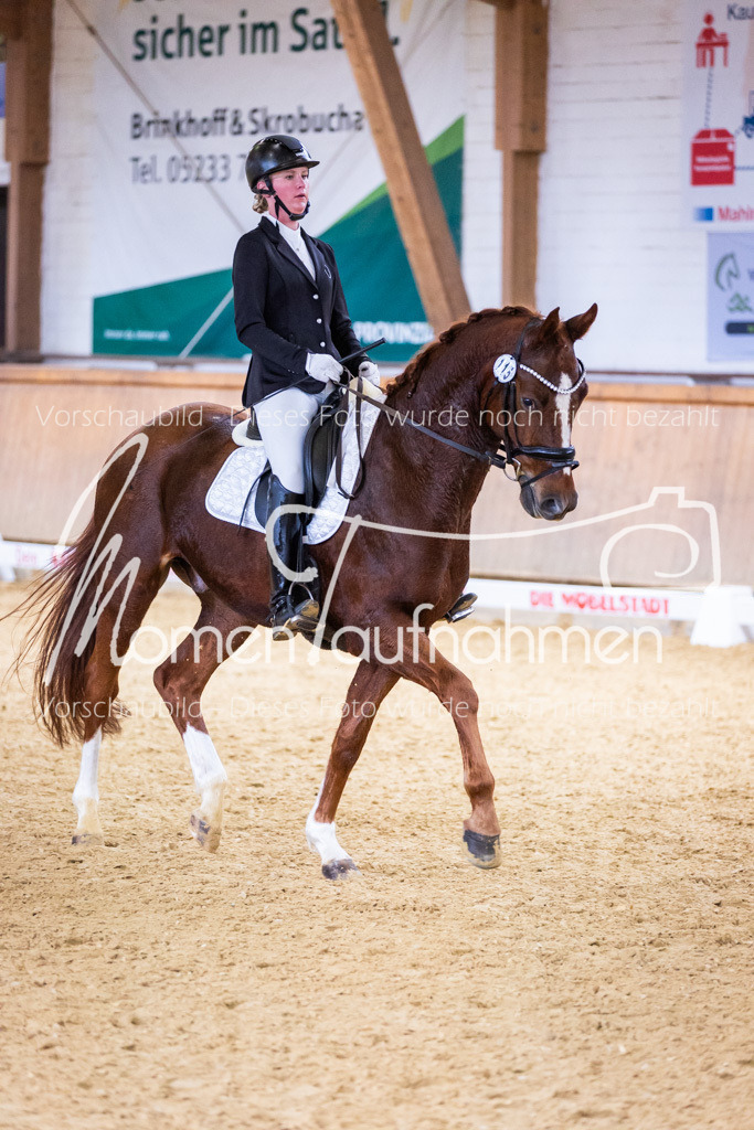 Sth-A-Dre-2St-153 | MomenTaufnahmen Pferdesportfotos