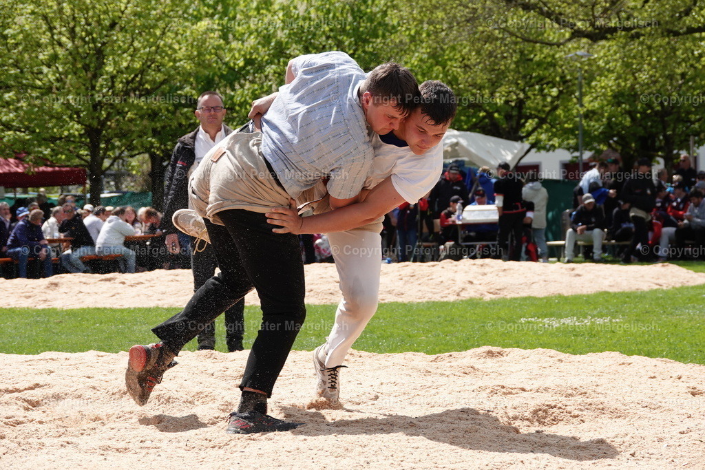 DSC00556 | Schwingen - Realisiert mit Pictrs.com