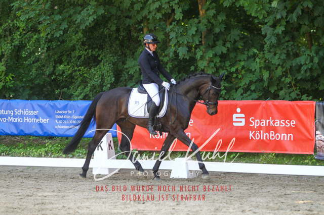 DKP42388 | Turniersportfotografie; Pferdefotografie; Dressurfotografie