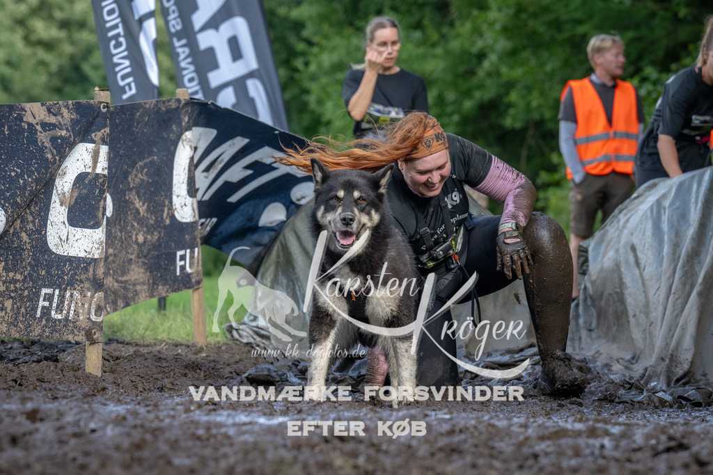 1714_ZZ91575 | kk-dogfotos