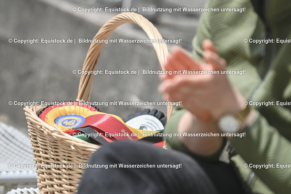 20250518_CCI4_Springen_0213 | Foto: Thomas Hartig