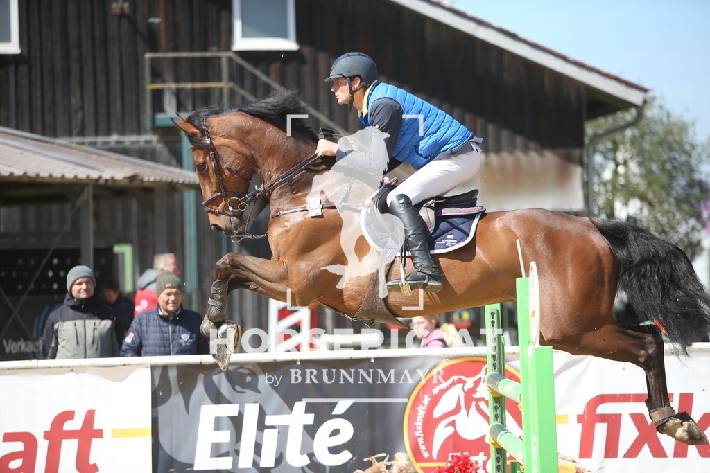 PP014300 | Willkommen bei Brunnmayr - Design & Fotografie – Ihrem Spezialisten für Reitturniere und Pferdeveranstaltungen in Oberösterreich, Salzburg und Bayern! Seit über 17 Jahren sind wir leidenschaftlich dabei.