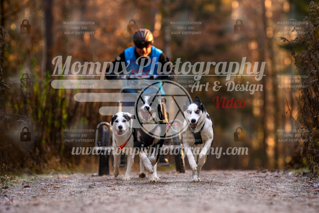 MompixPhotography_DM_AKDM_SO_2025_Wagen-72 | PayLife