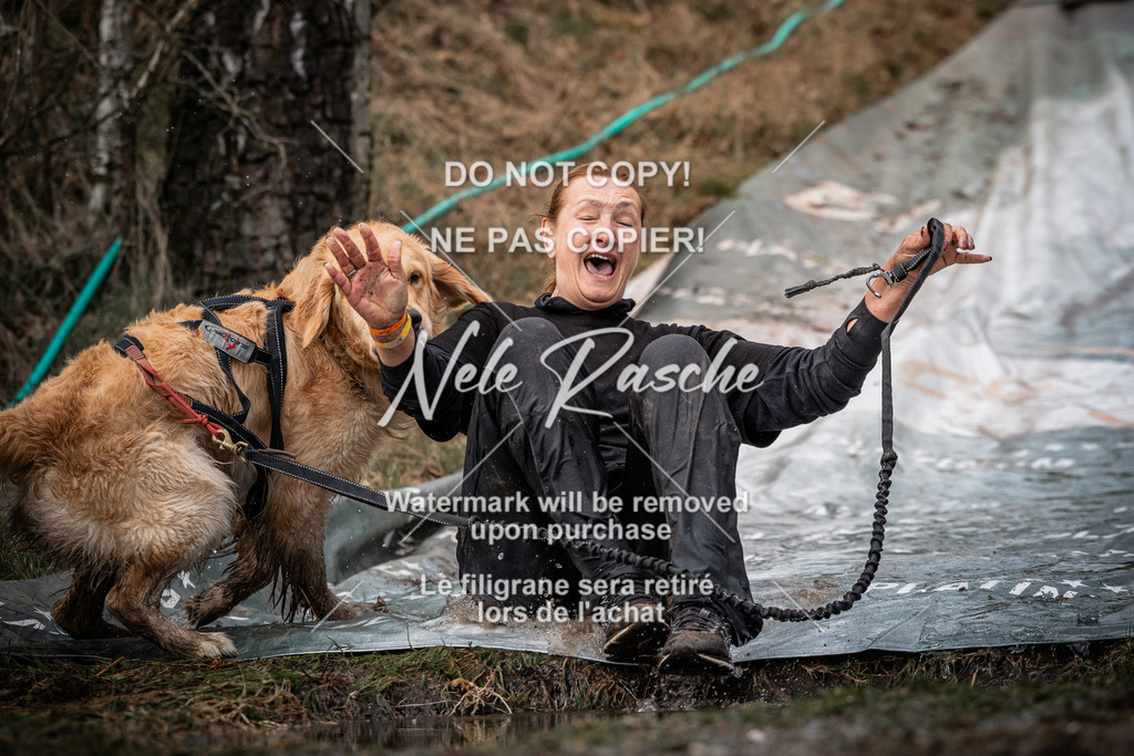 nelerasche_1330-1400_136 | nelerasche