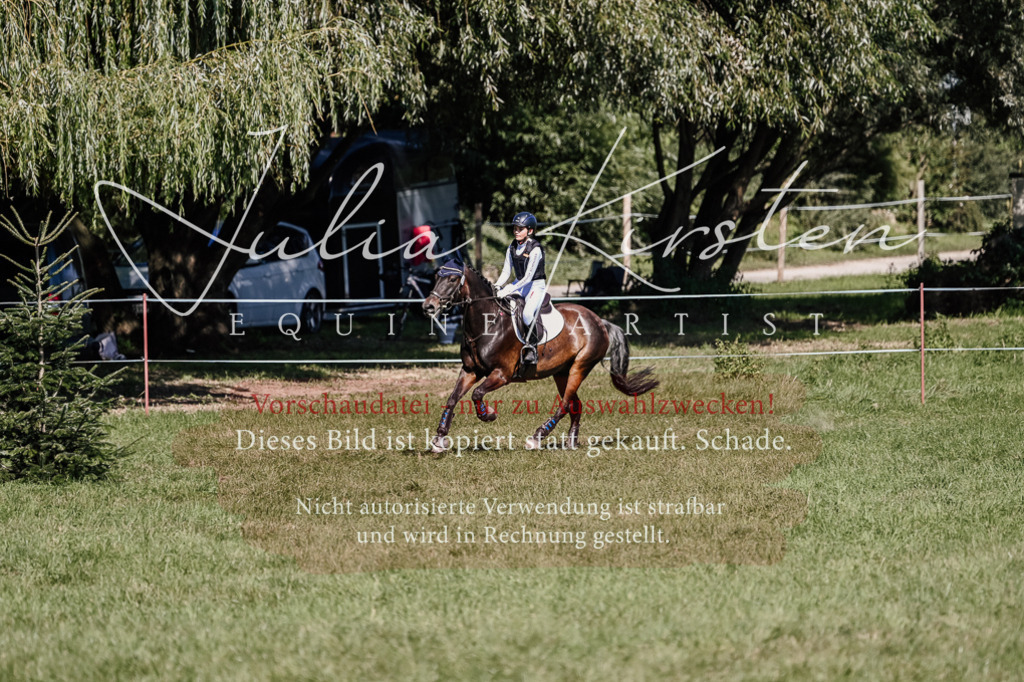 DSC_2792 | Pferde- und Turnierfotografie in Westsachsen. Pferdeportraits, Auftragszeichnungen und intuitive Kunst.