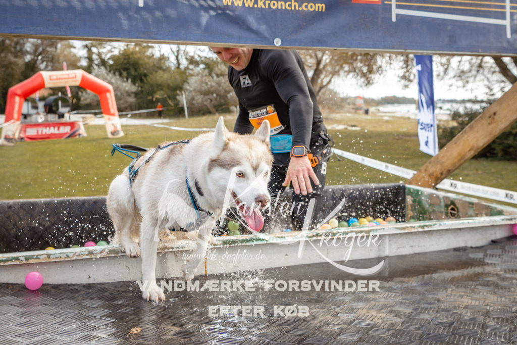 1356_ZZ92888-2 | kk-dogfotos