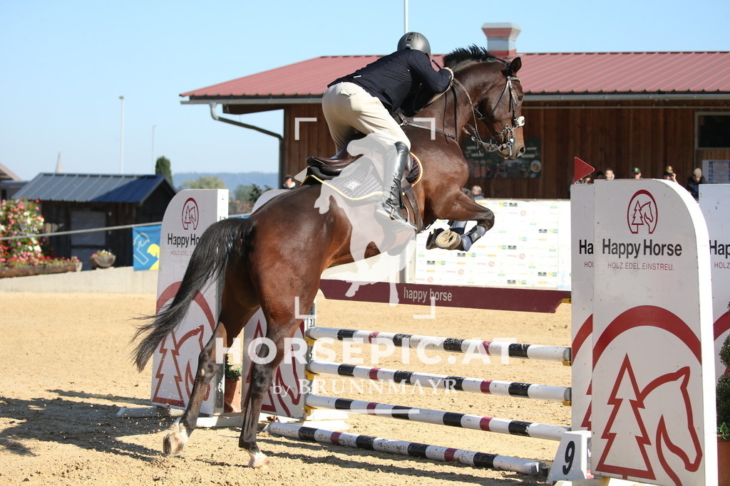 DL2Q1723 | Willkommen bei Brunnmayr - Design & Fotografie – Ihrem Spezialisten für Reitturniere und Pferdeveranstaltungen in Oberösterreich, Salzburg und Bayern! Seit über 17 Jahren sind wir leidenschaftlich dabei.