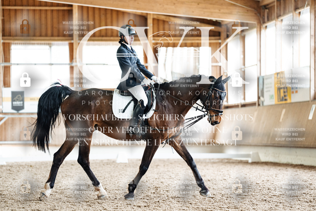 CK901774 | Turnierfotografie Pferdefotografie Trier Rheinland-Pfalz Pferdesport Reitsport Tierfotografie Sportfotografie Pferdevideo Pferdevideografie Equestrianvideography equestrianphotography  - Realisiert mit Pictrs.com