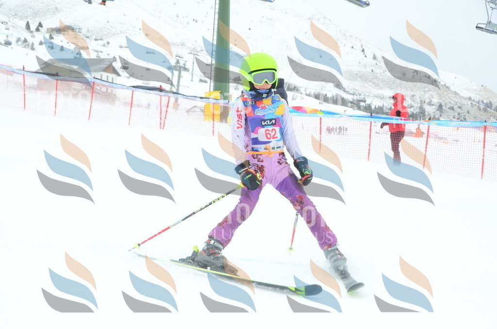 DSC_1024 | holidayphoto