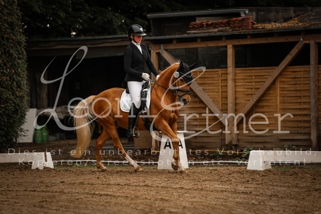 17.SoDrL00214 | Leoni Ertmer Photography - Realisiert mit Pictrs.com