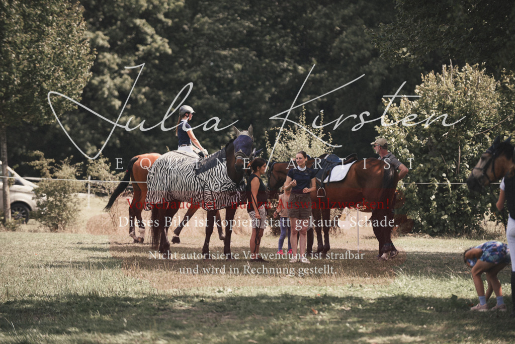 DSC_6426 | Pferde- und Turnierfotografie in Westsachsen. Pferdeportraits, Auftragszeichnungen und intuitive Kunst.