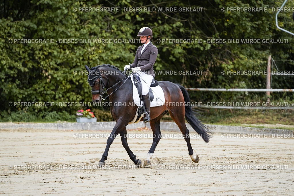 DSC08655 | Pferdegrafie