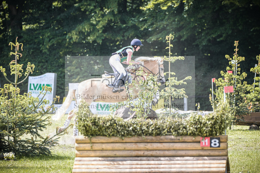 DOS_8437 | Entdecke hochwertige Reitturnierfotos von Foto Oger. Professionell, emotional und authentisch – jetzt Lieblingsmomente im Shop bestellen.Deutschlandweite Turnierfotografie. - Realisiert mit Pictrs.com