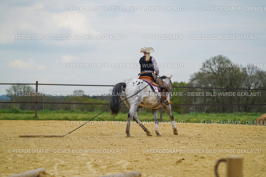 DSC07057 | Pferdegrafie