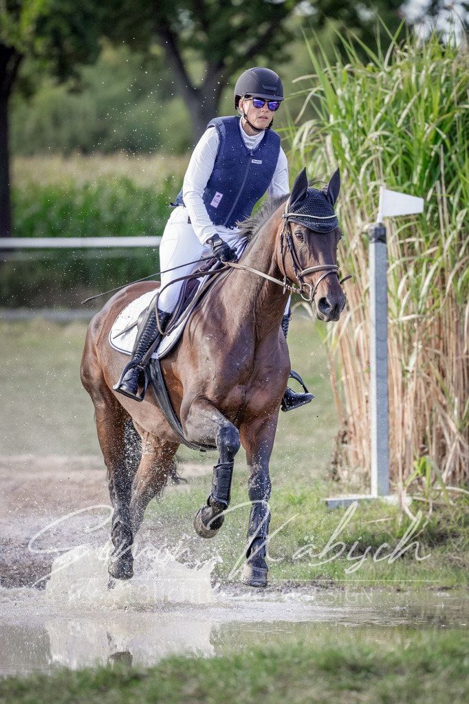 20250906-_3LI7483 | Tierfotografie Pferde, Hunde, Katzen, Haustiere.
Turnierfotografie Reitturniere, Reiten, Springreiten, Dressur in Hanau, dem Main-Kinzig-Kreis und dem Rhein-Main- Gebiet um Frankfurt