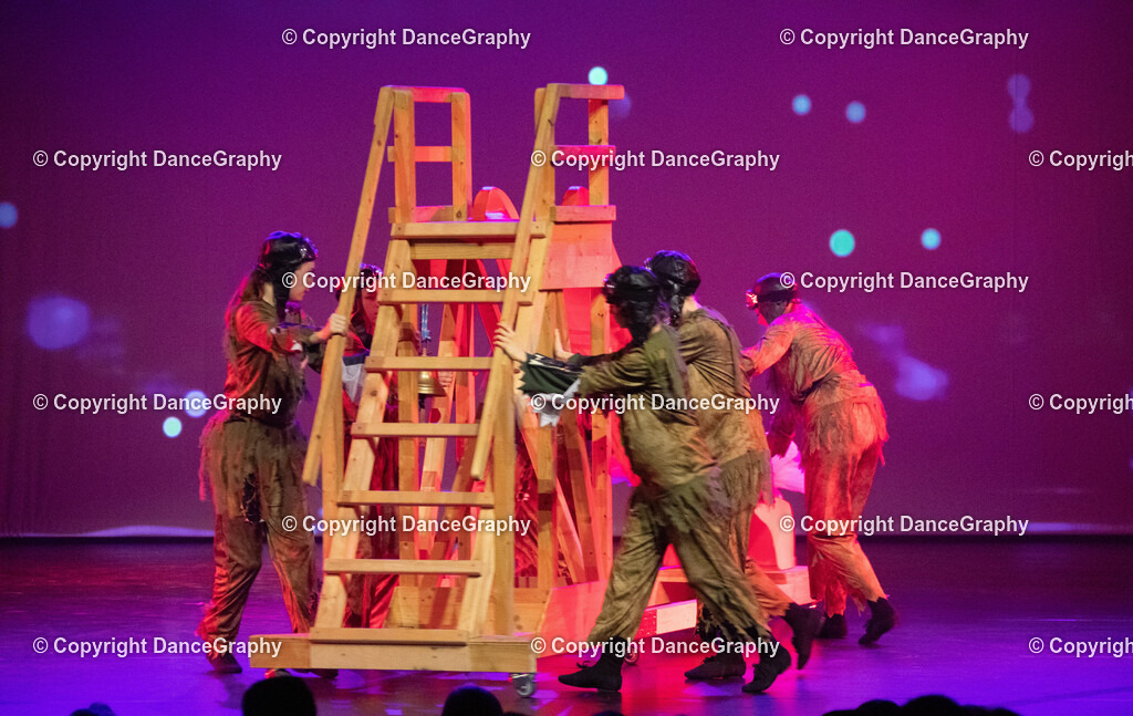 GPHY2324 | DanceGraphy - Realisiert mit Pictrs.com