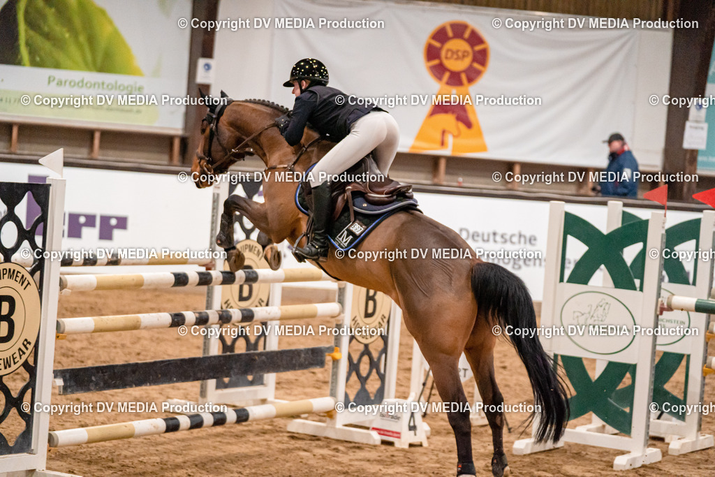 Kranichstein Tag 2-1082 | dv-media-shop - Realisiert mit Pictrs.com