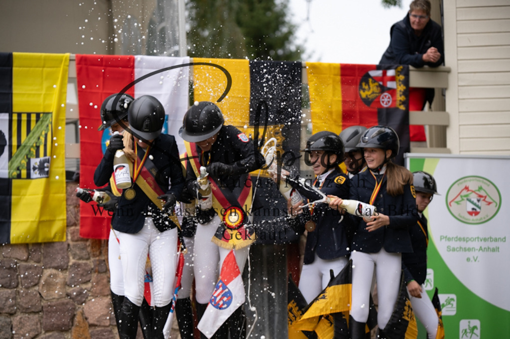 A7V01387 | Pferdefotograf