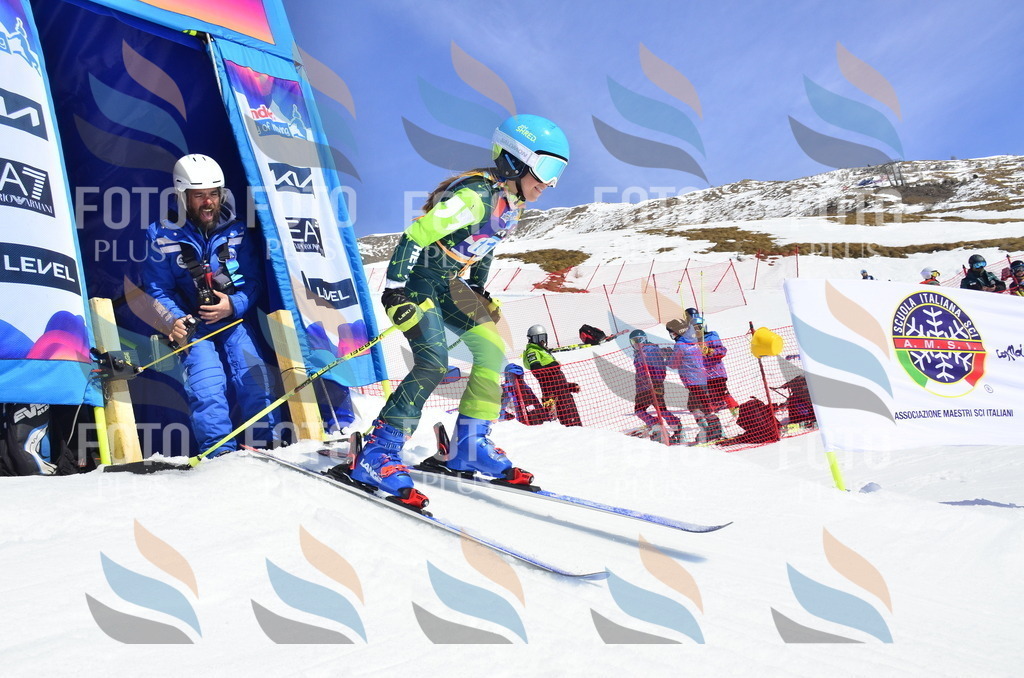 _ELE0675 | holidayphoto