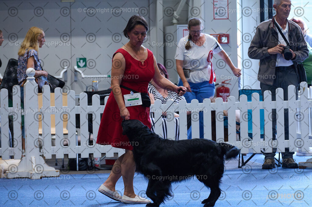 202406_ÖKV-IHA-Tulln24_DSC_5084 | proPHOTO - Realisiert mit Pictrs.com