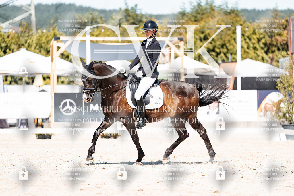 CK909716 | Turnierfotografie Pferdefotografie Trier Rheinland-Pfalz Pferdesport Reitsport Tierfotografie Sportfotografie Pferdevideo Pferdevideografie Equestrianvideography equestrianphotography  - Realisiert mit Pictrs.com