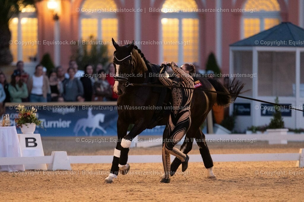 20230527_Voltigieren_NASPA_Flutlicht_0519 | equistock