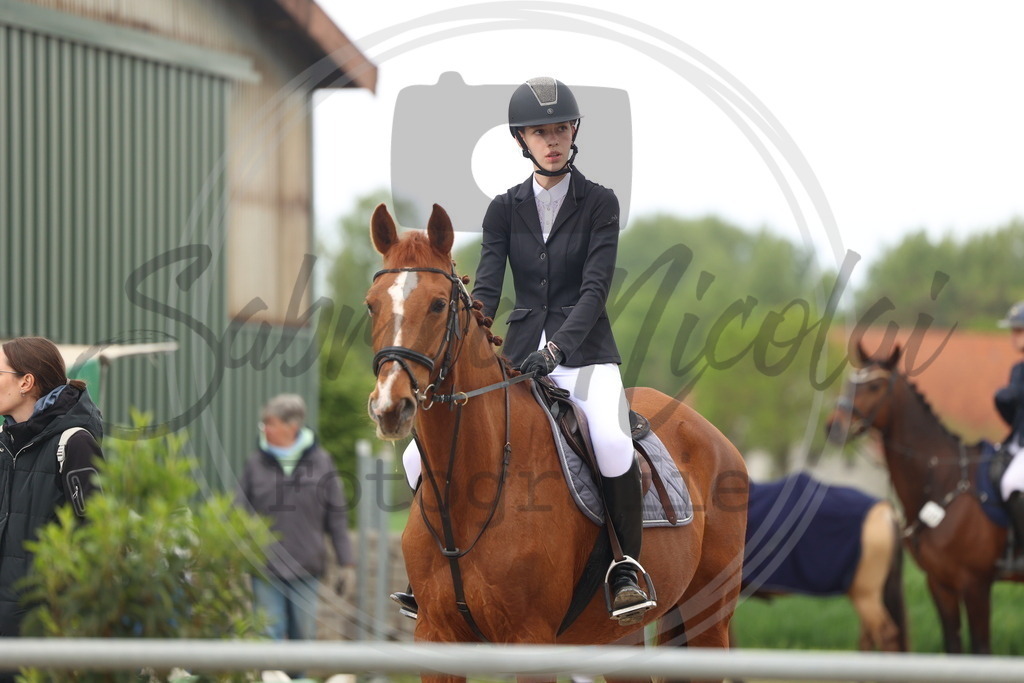 994A8461 | sabrinanicolaifotografie - Realisiert mit Pictrs.com