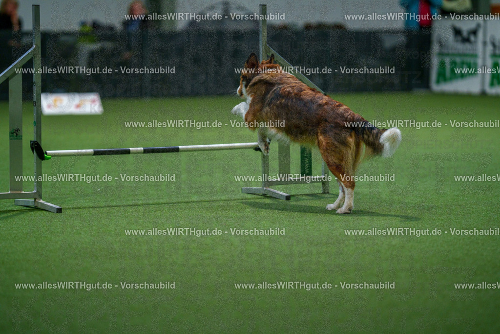 7R504041 | Professionelle Tierfotografie in Mönchengladbach von Daniel Wirth (allesWIRTHgut). Liebevolle & natürliche Bilder von Hunden & Katzen für unvergessliche Erinnerungen.