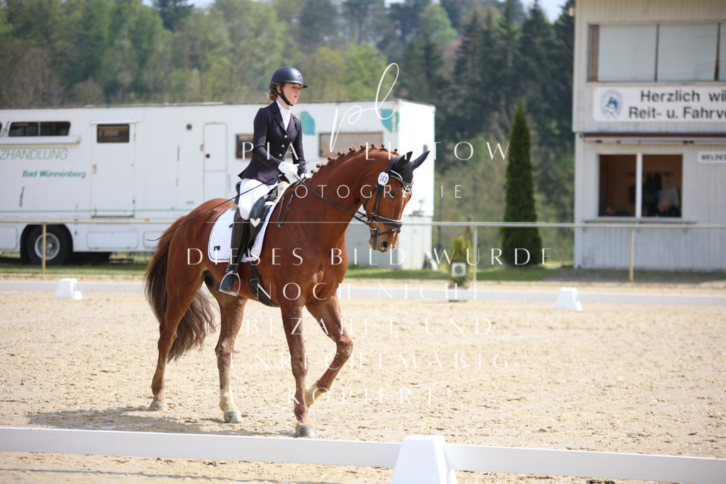 IMGT3495 | pl-fotografie