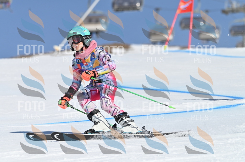 BGV_7941 | holidayphoto