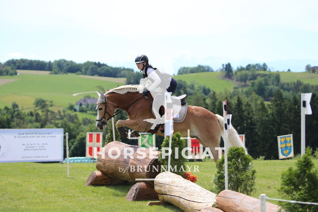 DL2Q0937 | Willkommen bei Brunnmayr - Design & Fotografie – Ihrem Spezialisten für Reitturniere und Pferdeveranstaltungen in Oberösterreich, Salzburg und Bayern! Seit über 17 Jahren sind wir leidenschaftlich dabei.