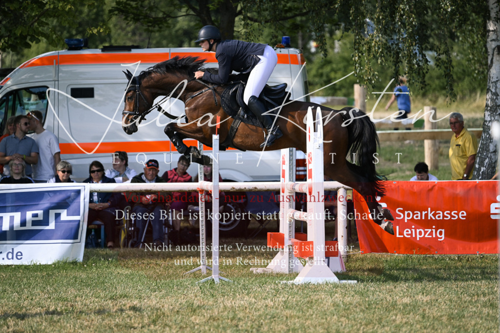 DSC_1447 | Pferde- und Turnierfotografie in Westsachsen. Pferdeportraits, Auftragszeichnungen und intuitive Kunst.