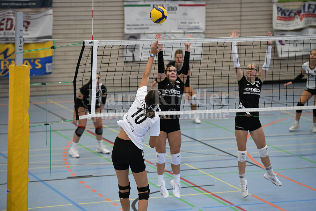 TSV Deggendorf Damen : Wilde Wespen Steinach | TSV Deggendorf Damen : Wilde Wespen Steinach - Realisiert mit Pictrs.com