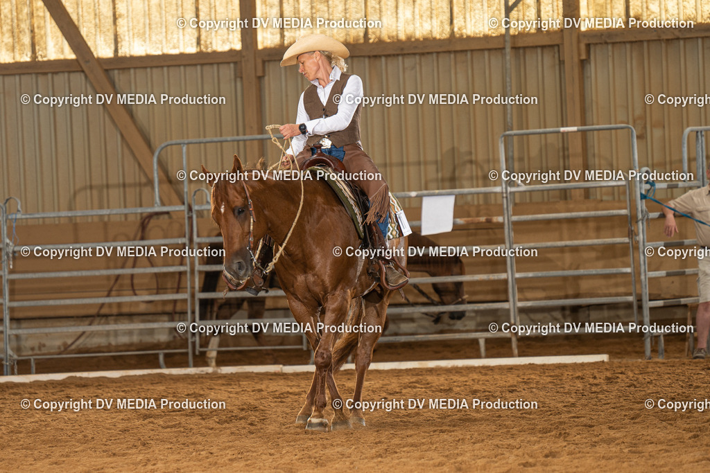 NID01456 | dv-media-shop - Realisiert mit Pictrs.com