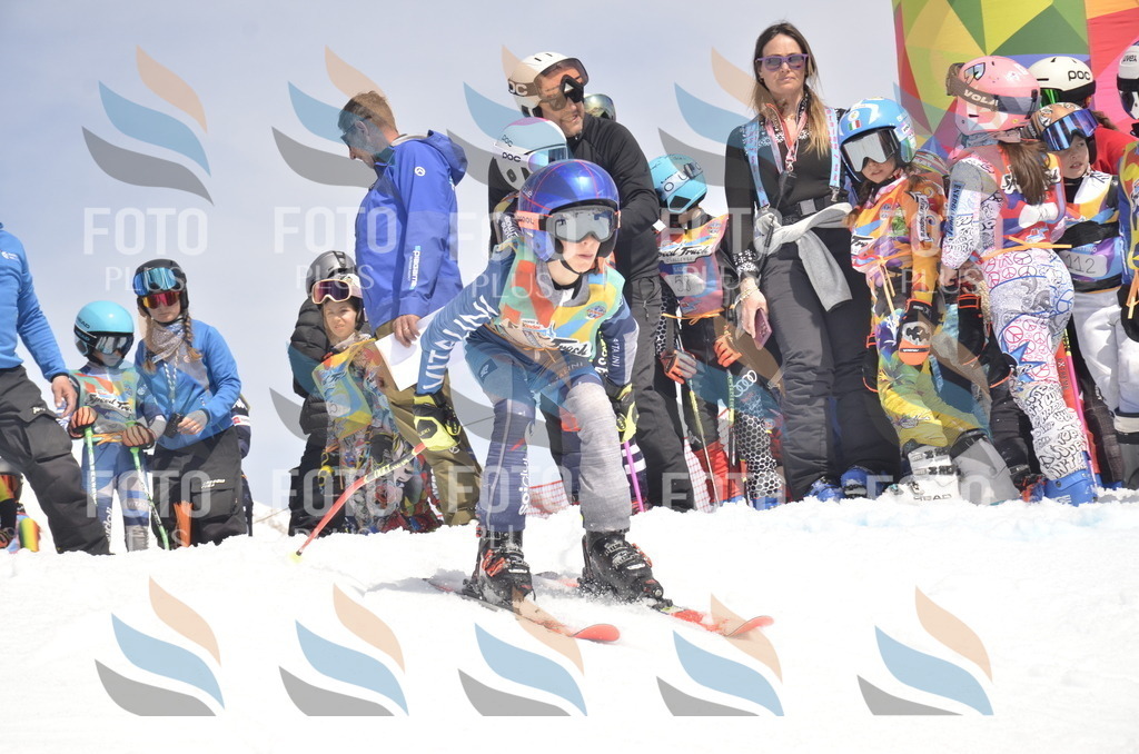 _ELE8505 | holidayphoto