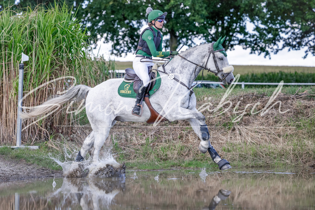 20250906-_3LI6961 | Tierfotografie Pferde, Hunde, Katzen, Haustiere.
Turnierfotografie Reitturniere, Reiten, Springreiten, Dressur in Hanau, dem Main-Kinzig-Kreis und dem Rhein-Main- Gebiet um Frankfurt