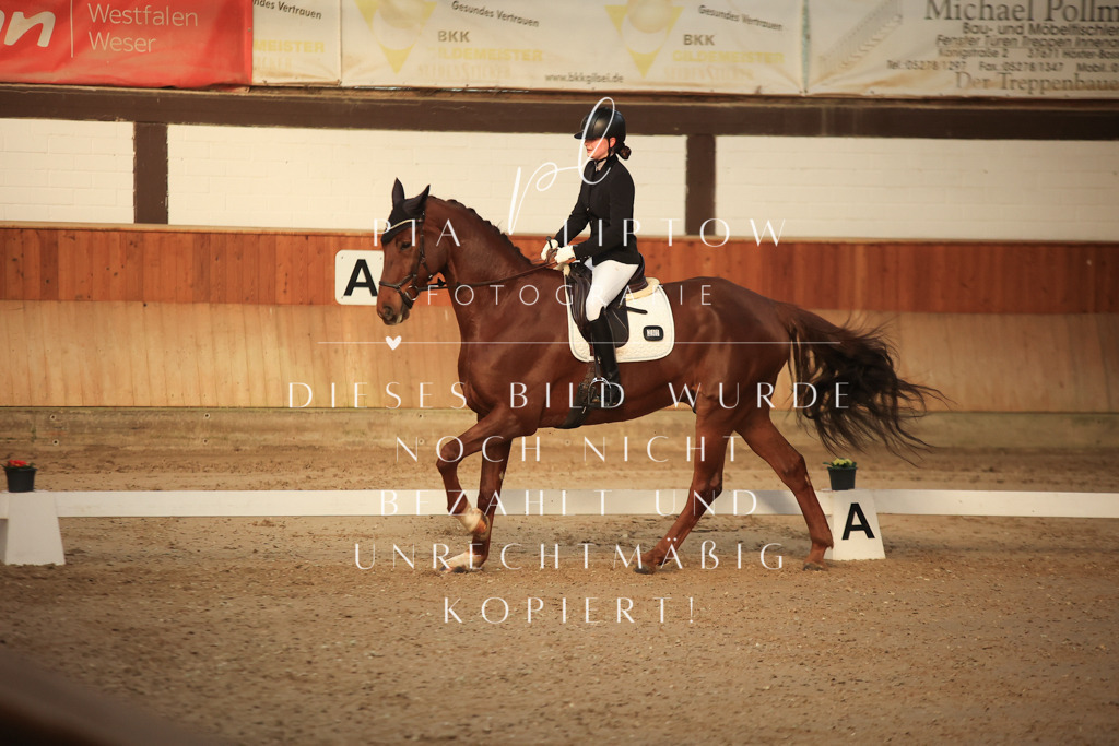 IMGT3315 | pl-fotografie