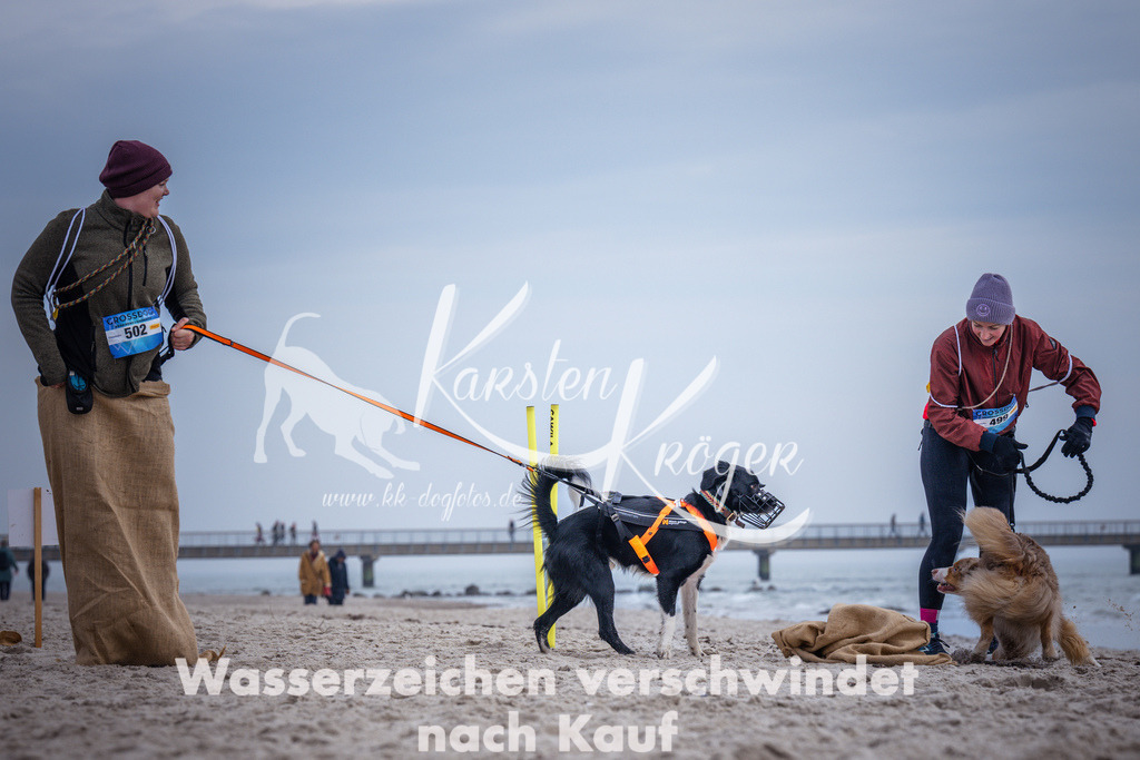 1146_ZZ90607 | kk-dogfotos