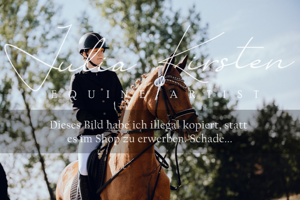 DSC_7177 | Pferde- und Turnierfotografie in Westsachsen. Pferdeportraits, Auftragszeichnungen und intuitive Kunst.