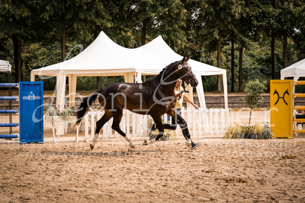 6.Fr00014 | Leoni Ertmer Photography - Realisiert mit Pictrs.com