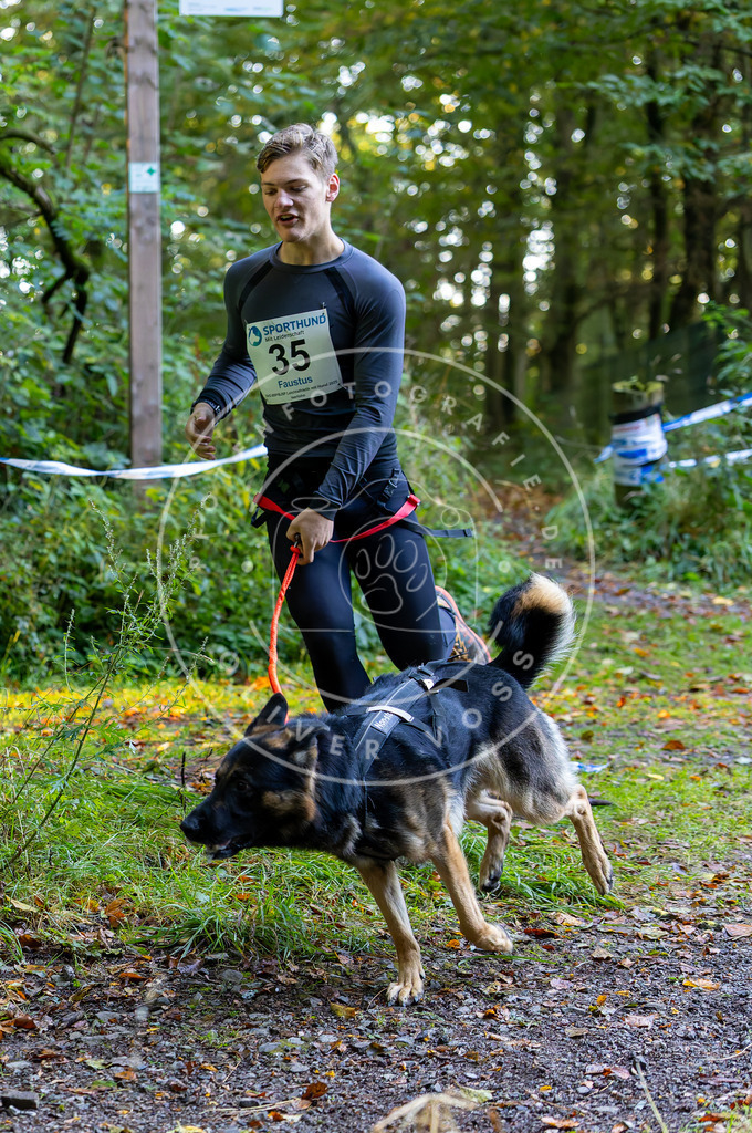 Pfotenfotografie_DV3A6728 | Hundefotografie, Tierfotograf, Pfotenfotografie, Fotoshooting Hund, Hunde Portrait, Hundesport, Hundeportraits, Heideshooting, Hunde, Sportfotograf, Hundefotograf, Turnierhundsport, THS,  - Realisiert mit Pictrs.com