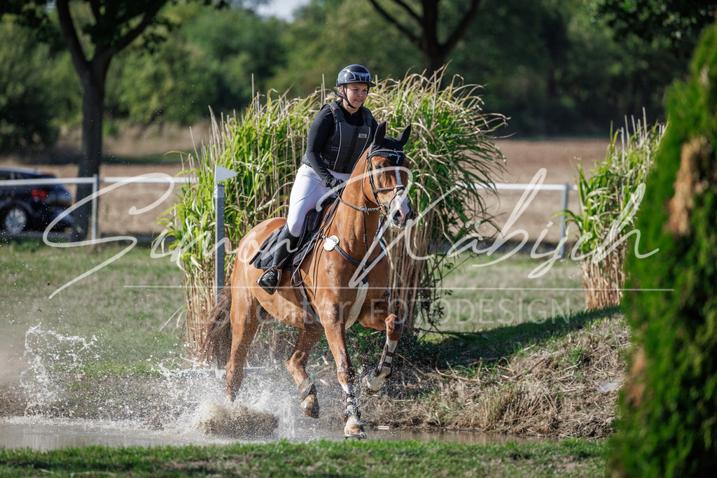 20260905-_3LI0382 | Tierfotografie Pferde, Hunde, Katzen, Haustiere.
Turnierfotografie Reitturniere, Reiten, Springreiten, Dressur in Hanau, dem Main-Kinzig-Kreis und dem Rhein-Main- Gebiet um Frankfurt
