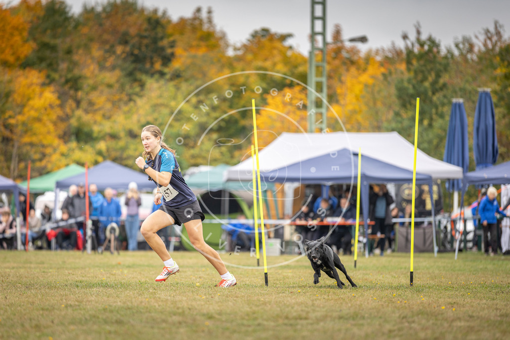 Pfotenfotografie_DV3A5178 | Hundefotografie, Tierfotograf, Pfotenfotografie, Fotoshooting Hund, Hunde Portrait, Hundesport, Hundeportraits, Heideshooting, Hunde, Sportfotograf, Hundefotograf, Turnierhundsport, THS,  - Realisiert mit Pictrs.com